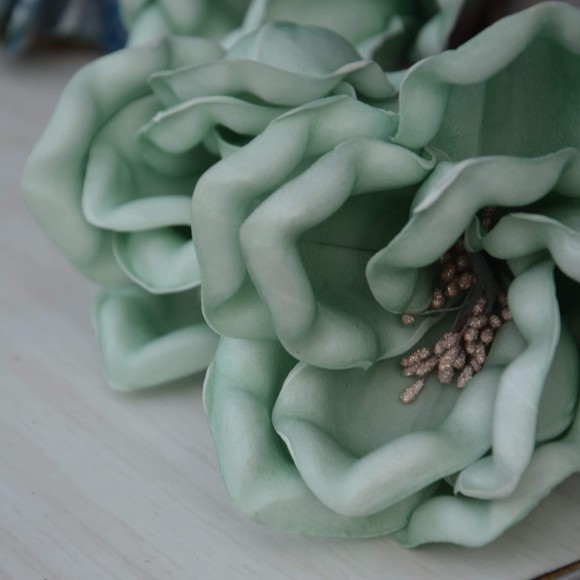 Meet your Posher, Denise - Picture 1 of 1